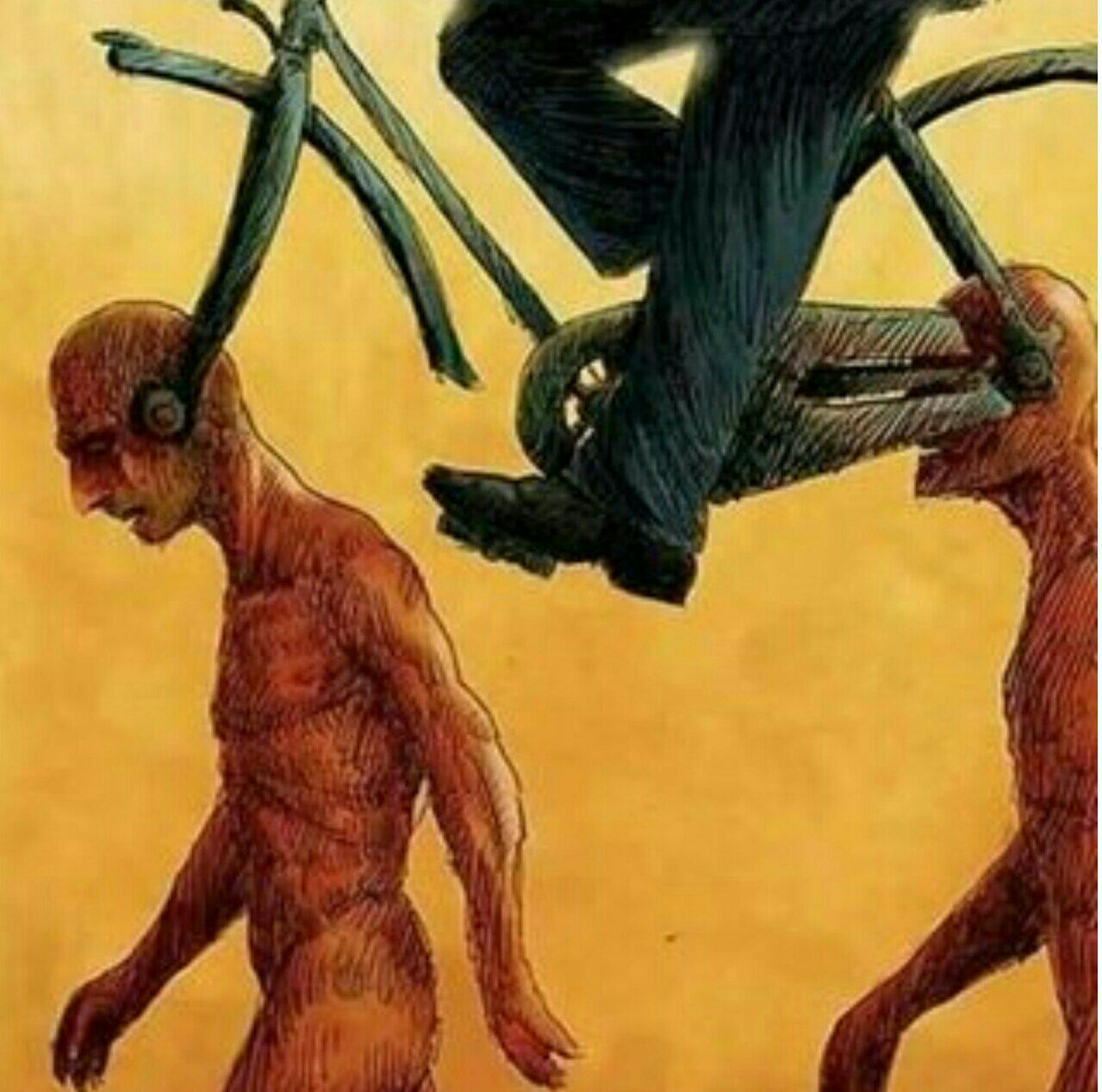Immagine in evidenza