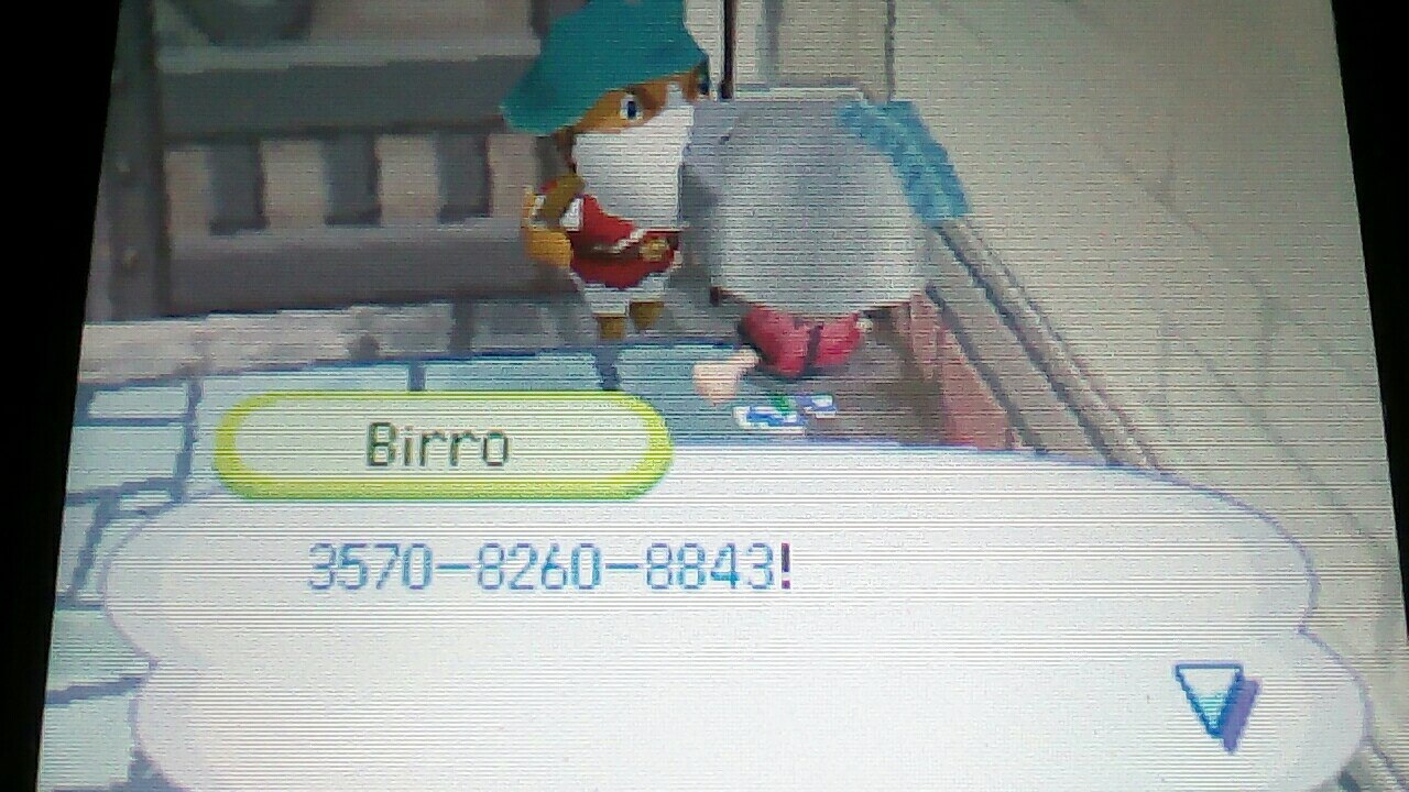 Finalmente ce l'ho fatta a far funzionare Wiimmfi su Animal Crossing Wild World Maledetto errore 201[...]